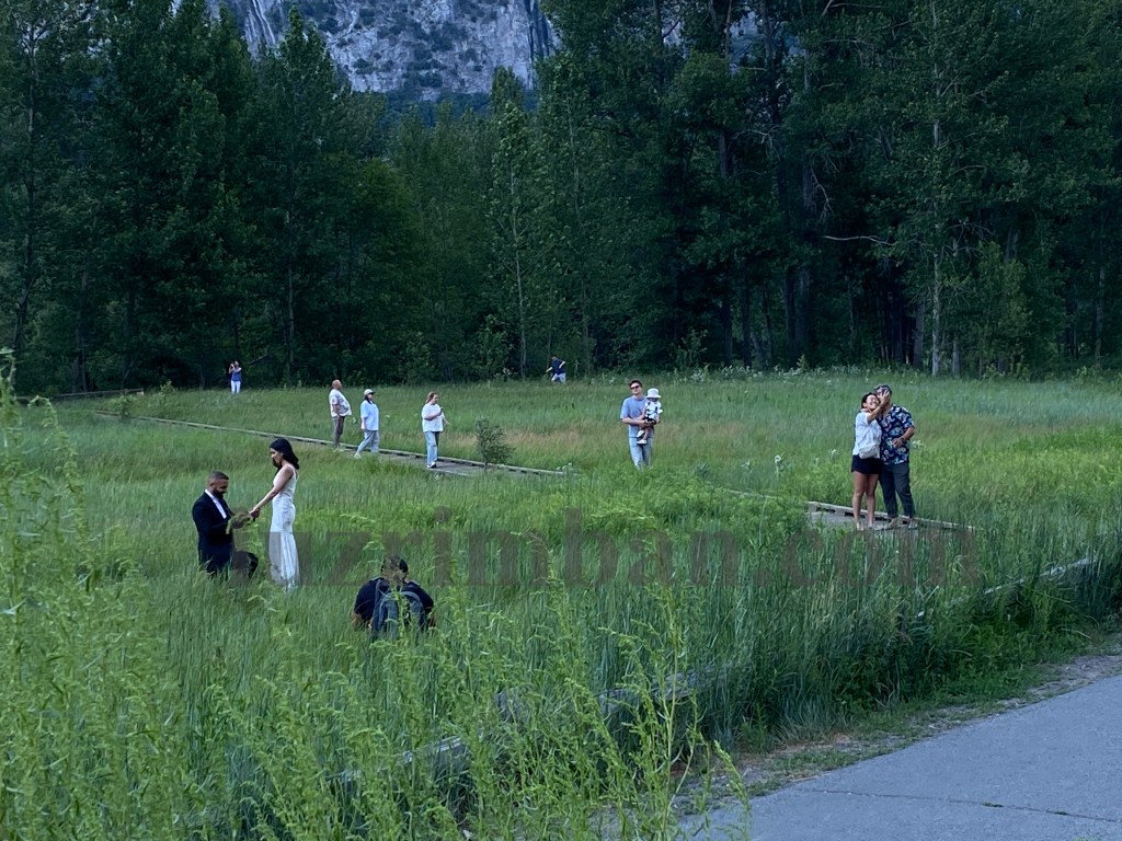 Tourists at Yosemite Valley
