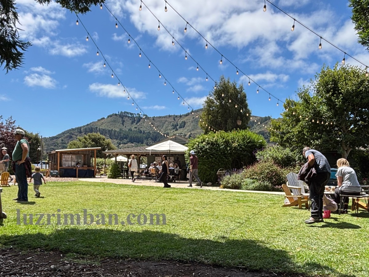 “A fruit whose seeds are on the&nbsp;outside”